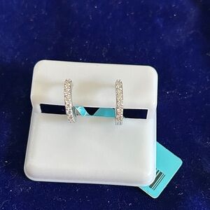 Moissanite Diamond Sterling Silver Hoop Earrings‎